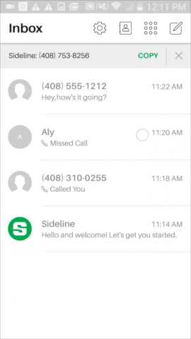DizzyBrownAlligator-size_restricted.gif