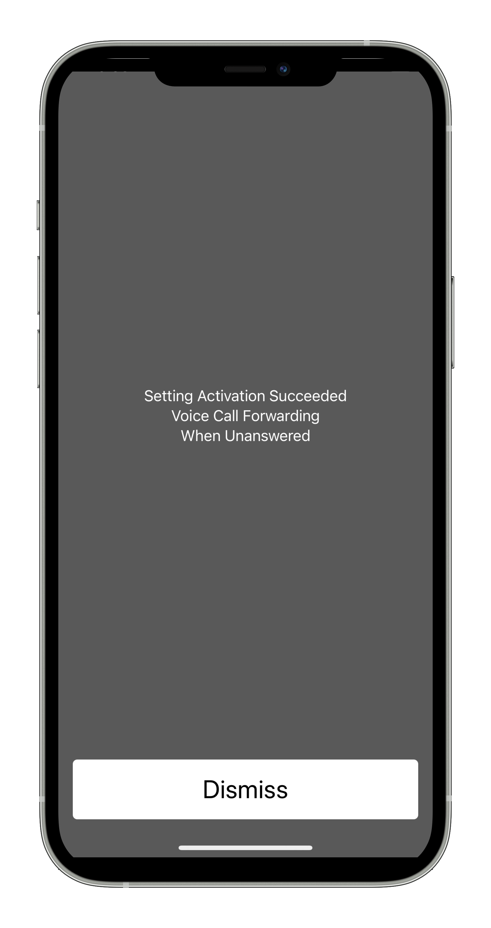 IMG_2898_iphone12promaxsilver_portrait.png